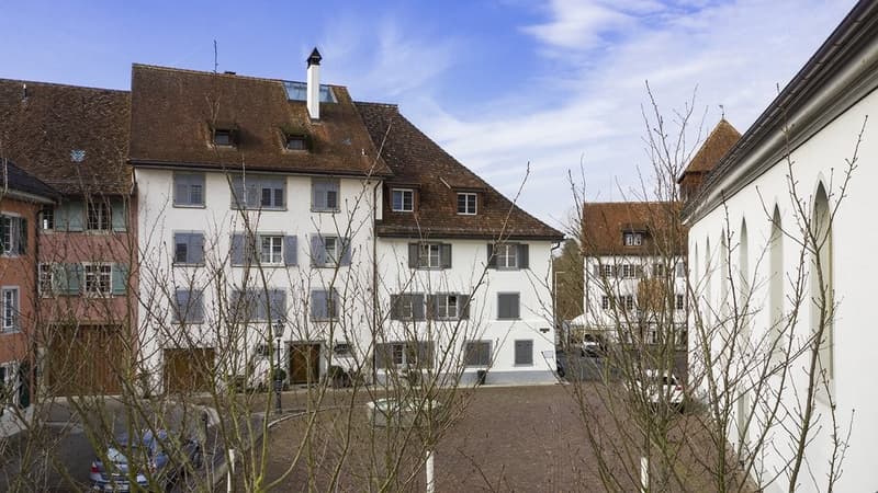 HEIMELIGER BÜRORAUM ZU VERMIETEN-2x NETTOMIETZINS GESCHENKT (8)