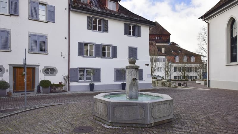 HEIMELIGER BÜRORAUM ZU VERMIETEN-2x NETTOMIETZINS GESCHENKT (6)
