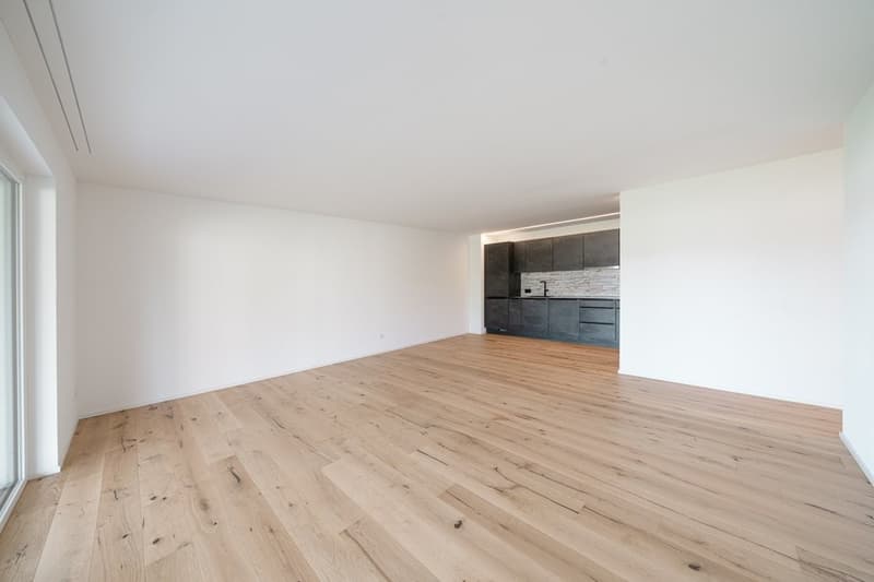 FELICITÀ DI VIVERE A HERZOGENBUCHSEE LA TUA NUOVA CASA DEI SOGNI TI ASPETTA (4)