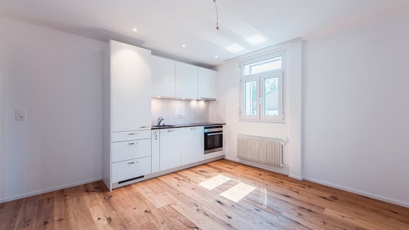 Renovated small apartment with washing tower and balcony - 1 rent free (6)