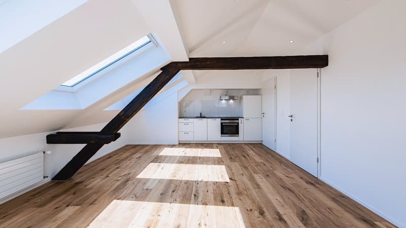 SUPERBE APPARTEMENT EN ETAGE RECHERCHE SOUS-LOCATAIRE - 1 LOYER OFFERT (2)
