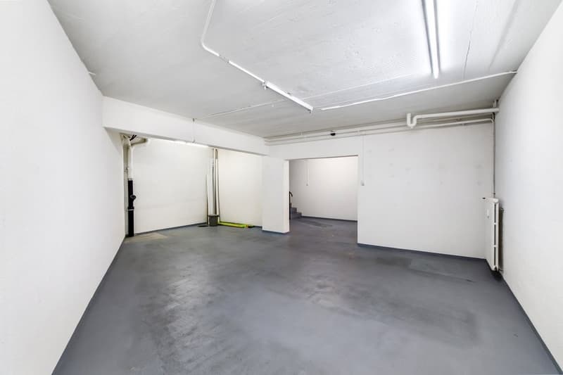 TOP COMMERCIAL SPACE IN A PRIME LOCATION ON SPALENRING (10)