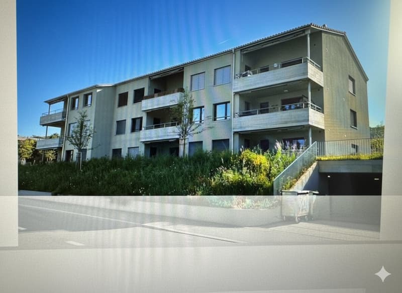 APPARTEMENT SPACIEUX ET LUMINEUX NEUF À HITZKIRCH (2)