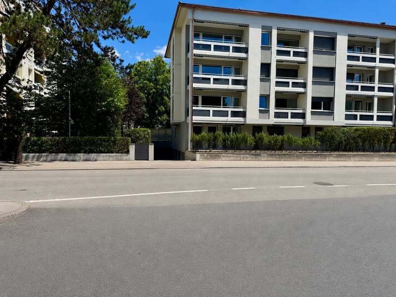 MODERN WOHNEN - BERN - BÜMPLITZ - EG - ERSTBEZUG NACH SANIERUNG (3)