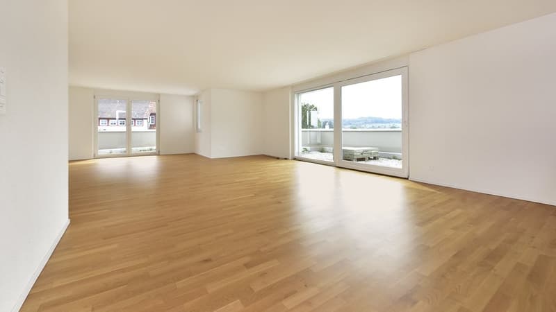 Appartamento in mansarda con terrazza di 60 m2 più grande - 1 affitto gratuito (5)