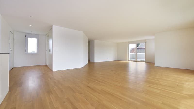 Appartamento in mansarda con terrazza di 60 m2 più grande - 1 affitto gratuito (4)