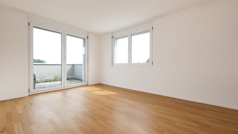 Appartamento in mansarda con terrazza di 60 m2 più grande - 1 affitto gratuito (7)