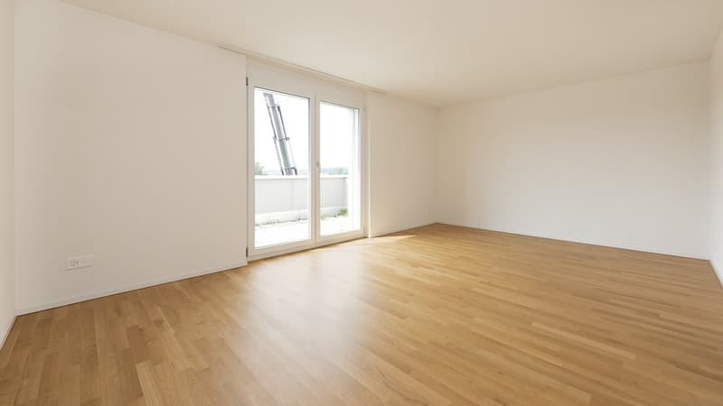 Appartamento in mansarda con terrazza di 60 m2 più grande - 1 affitto gratuito (6)