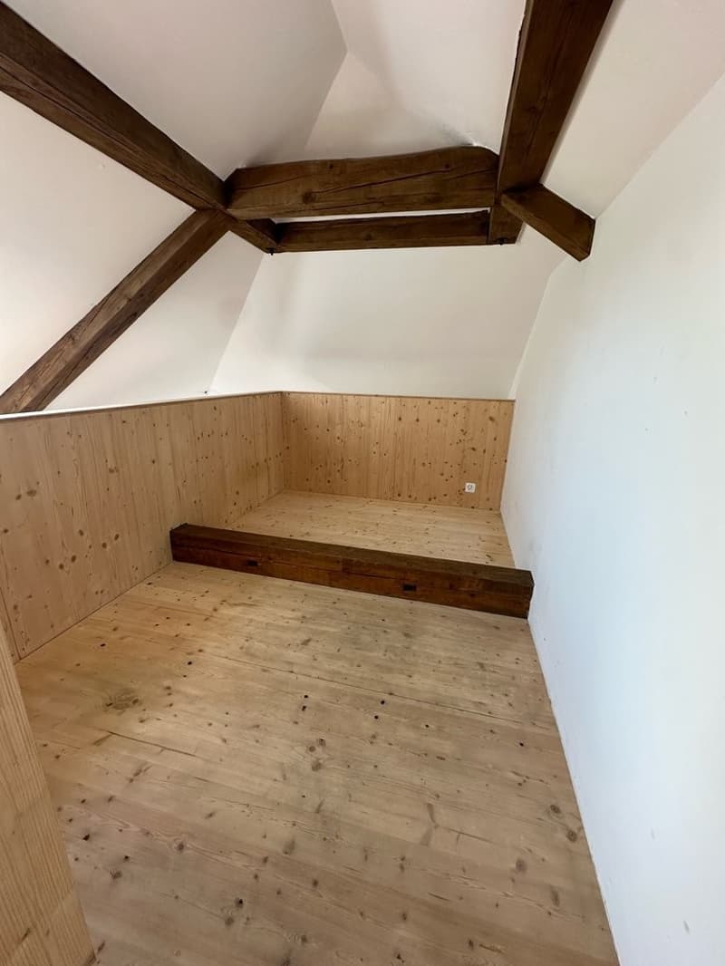 Appartamento moderno in affitto a Reinach (4)