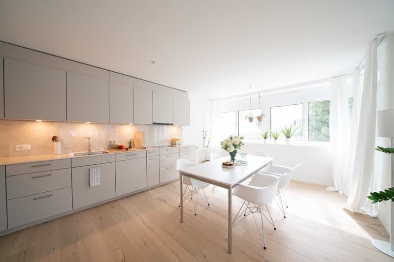 Appartement Moderne dans un Endroit Calme à Kilchberg (6)