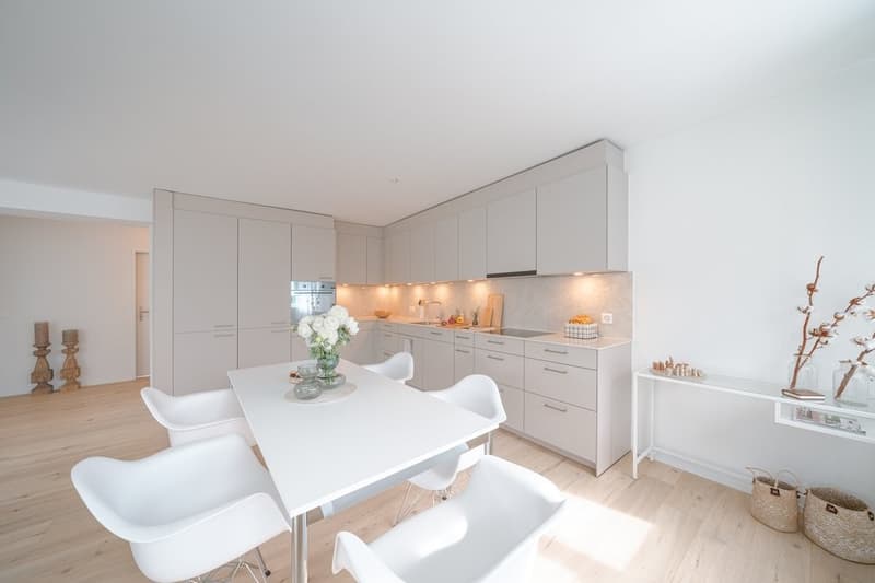 Appartement Moderne dans un Endroit Calme à Kilchberg (8)