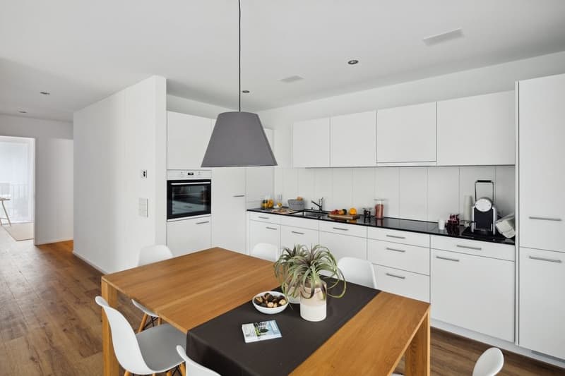 Modern, spacious apartment in Bischofszell (3)