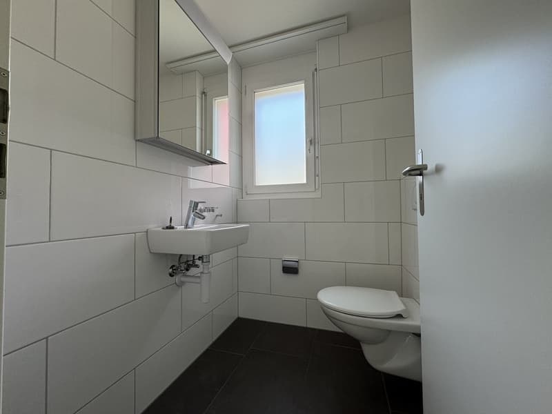 Cozy 4.5 Room Apartment in Bubendorf (8)