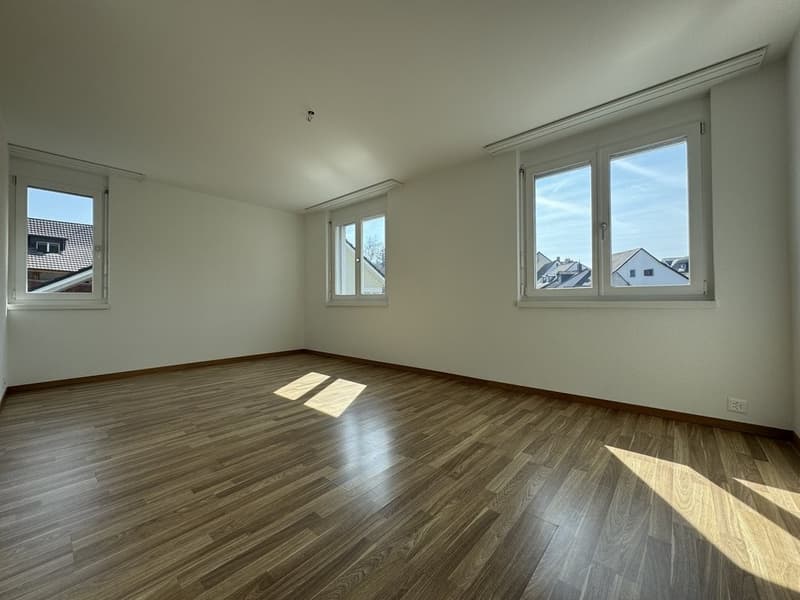 Cozy 4.5 Room Apartment in Bubendorf (5)