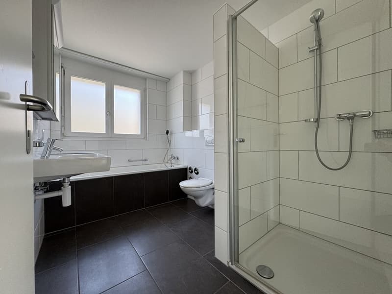 Cozy 4.5 Room Apartment in Bubendorf (7)