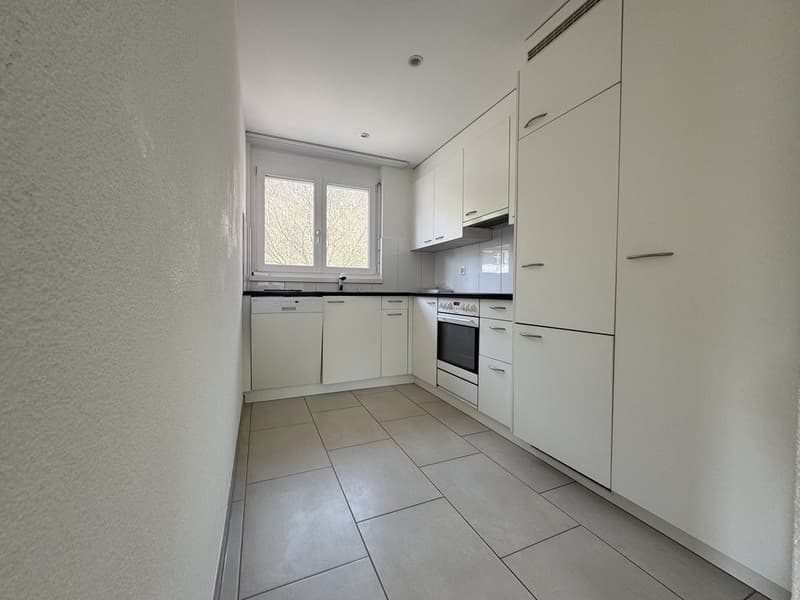 Cozy 4.5 Room Apartment in Bubendorf (6)
