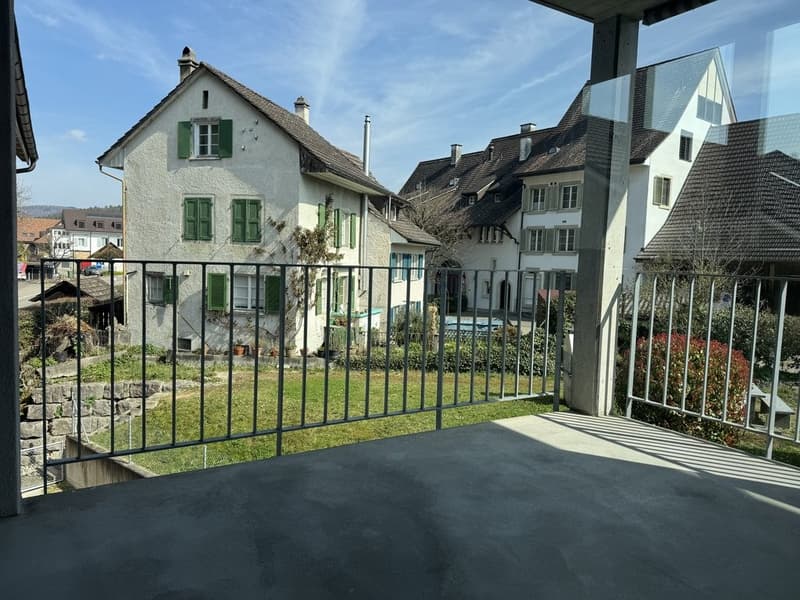 Cozy 4.5 Room Apartment in Bubendorf (9)