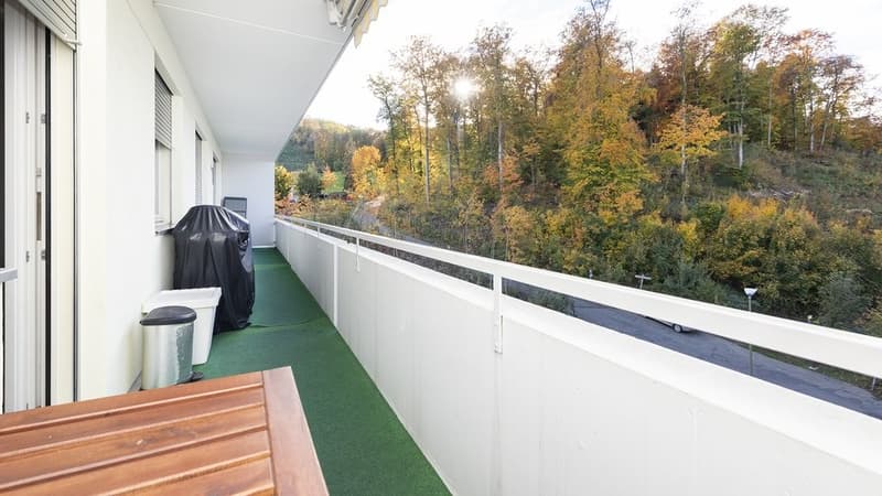 GEMÜTLICHE 2.5 ZIMMER-WOHNUNG IN PRATTELN (5)