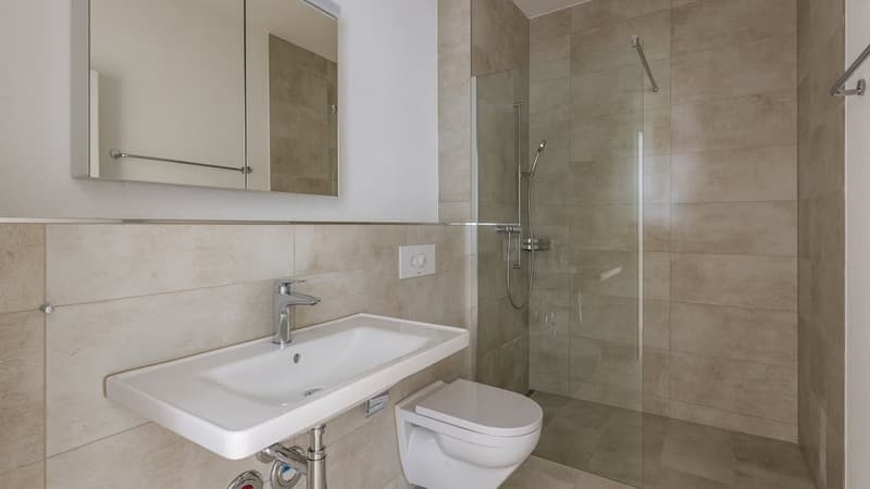 APPARTEMENT 4.5 PIÈCES SPACIEUX DANS UN STANDARD DE PROPRIÉTÉ (10)