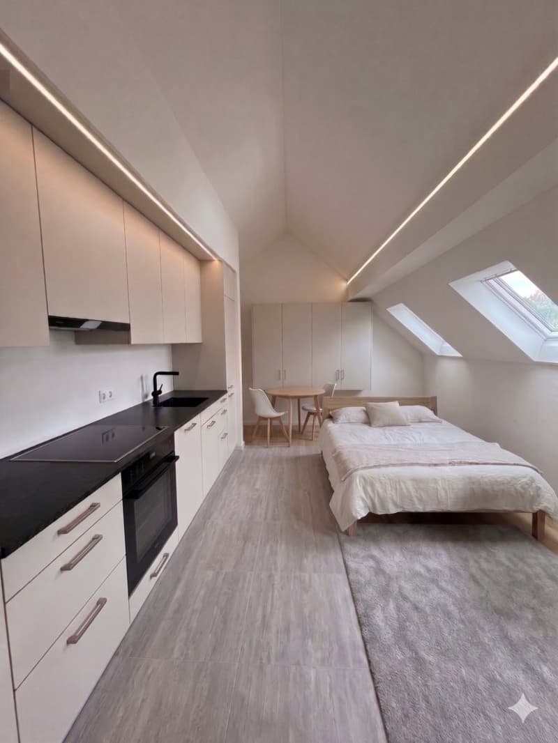 TOPMODERNE WOHNUNG ZU VERMIETEN (5)