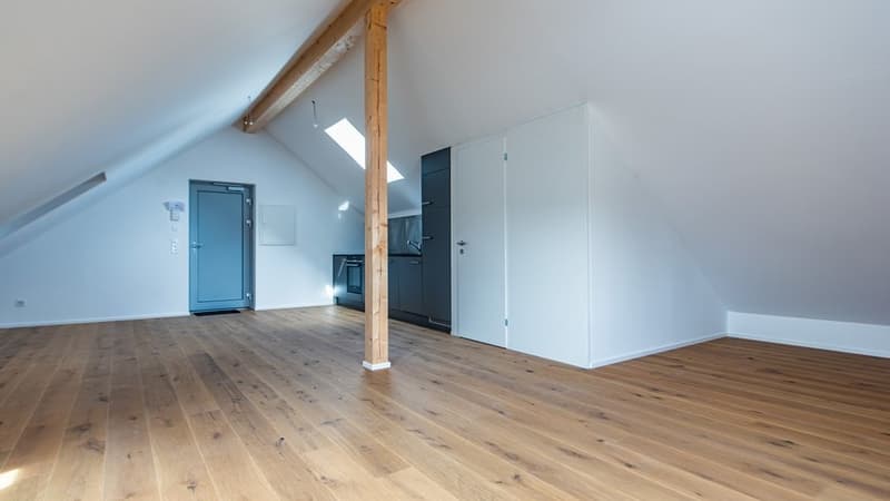 Cozy Apartment for Rent in Reinach (6)