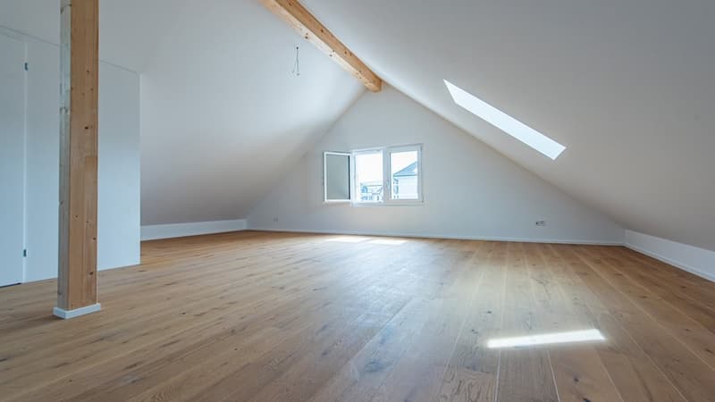 Cozy Apartment for Rent in Reinach (5)