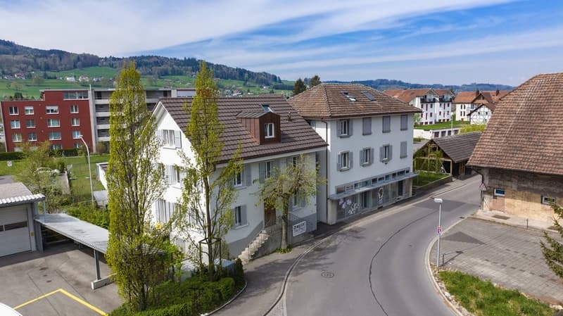 Cozy Apartment for Rent in Reinach (7)