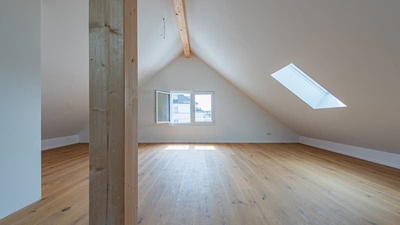Cozy Apartment for Rent in Reinach (4)