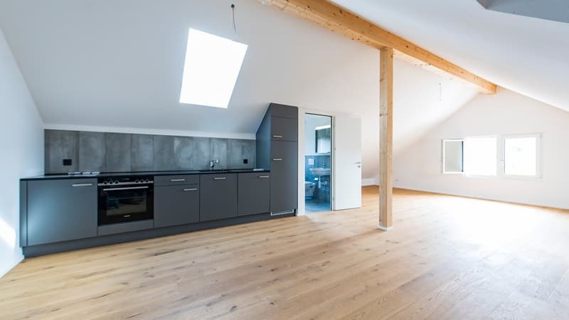 Cozy Apartment for Rent in Reinach (2)