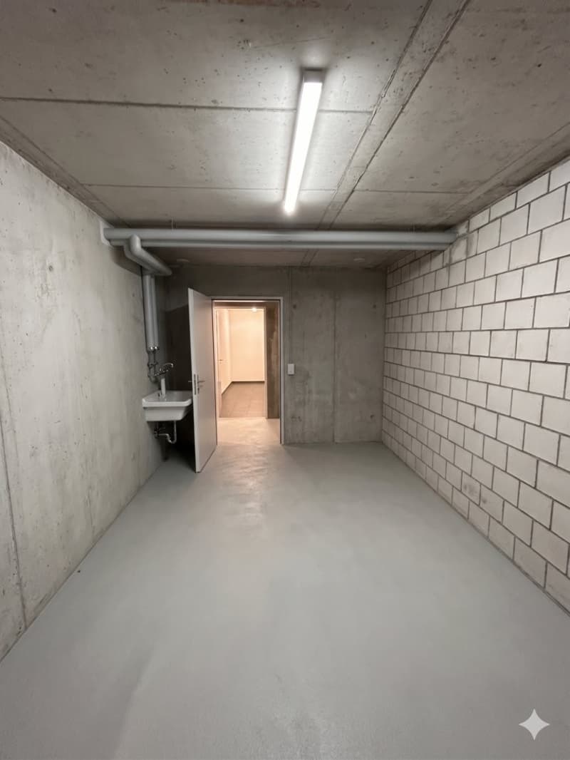 PIÙ SPAZIO PER IL VOSTRO HOBBY O DEPOSITO A NIEDERGÖSGEN (3)