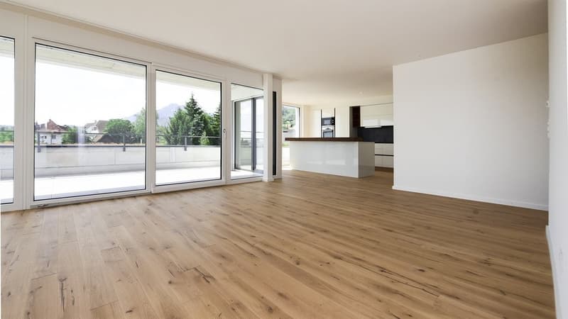 Appartamento in mansarda moderno in affitto (6)