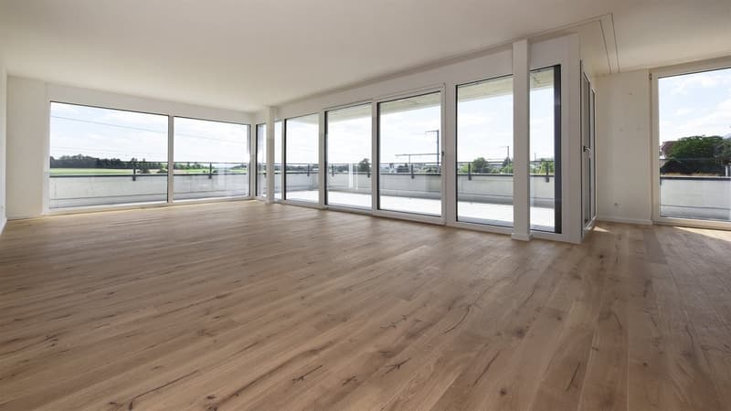 Appartamento in mansarda moderno in affitto (5)