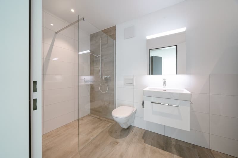 Perfect Single Apartment (6)