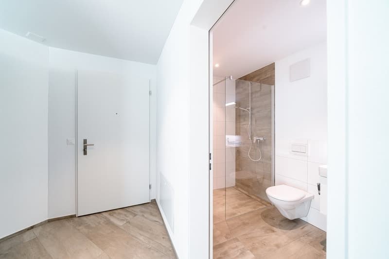 Perfect Single Apartment (2)
