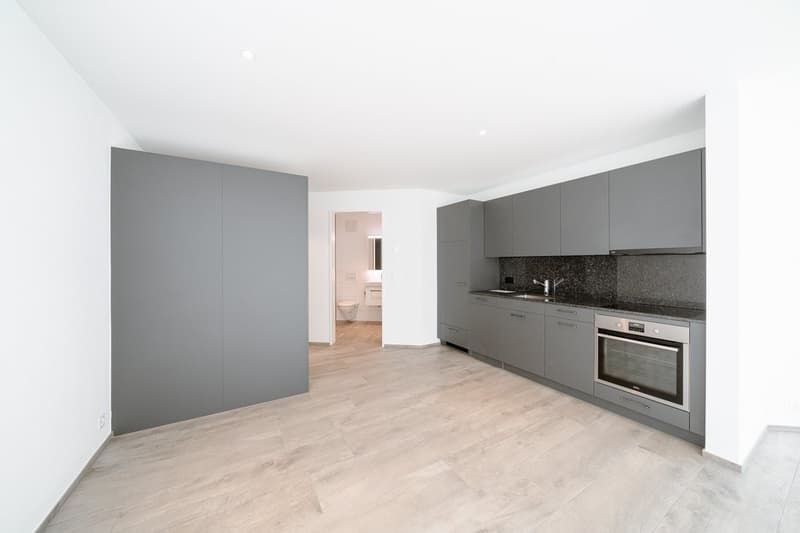 Perfect Single Apartment (4)