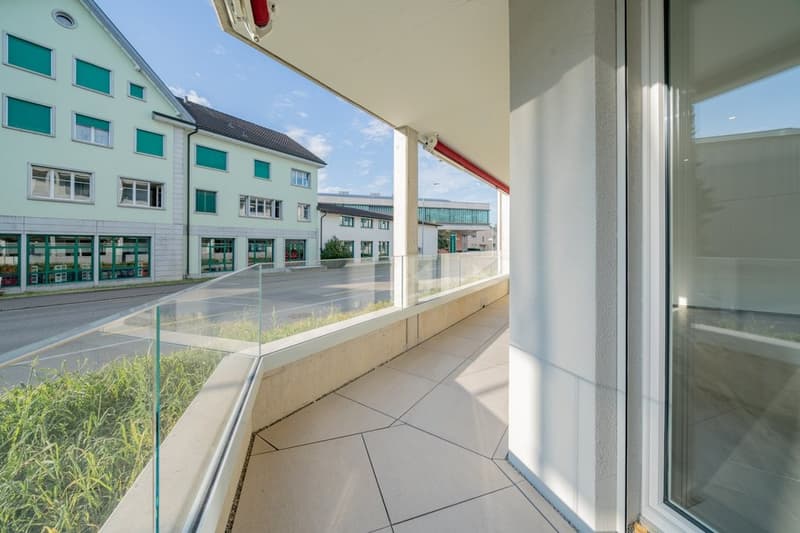 Perfect Single Apartment (5)