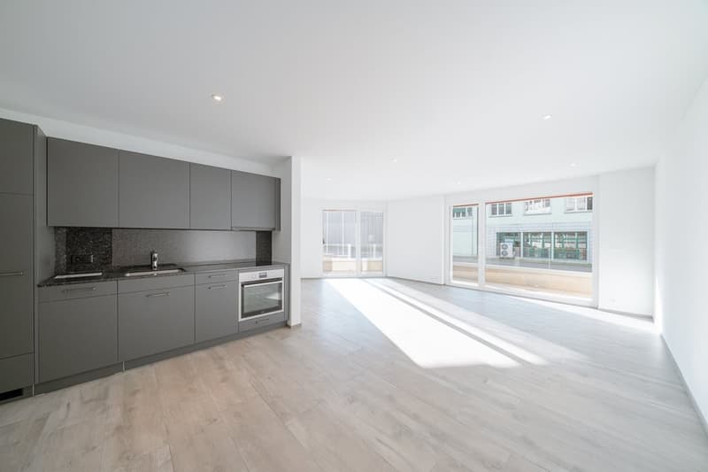 Perfect Single Apartment (3)