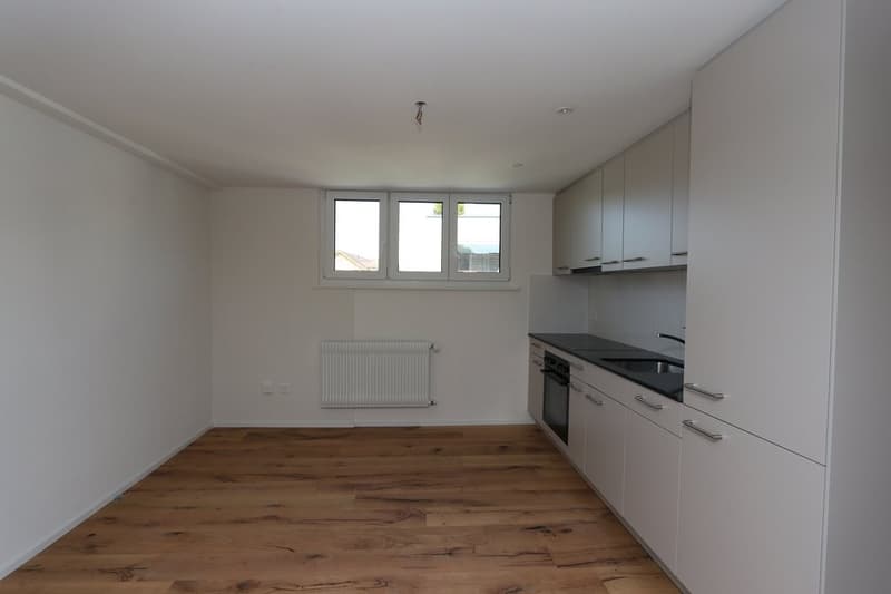 CHARMANTE KLEINWOHNUNG ZU VERMIETEN (4)