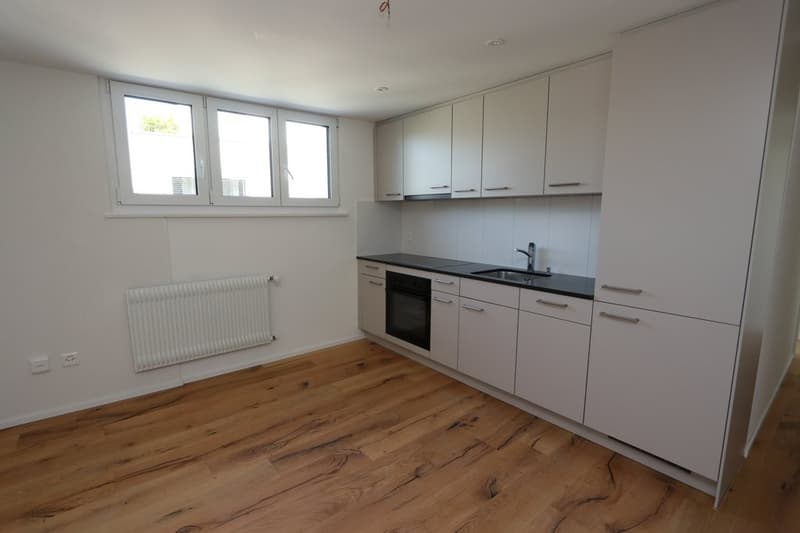 CHARMANTE KLEINWOHNUNG ZU VERMIETEN (3)