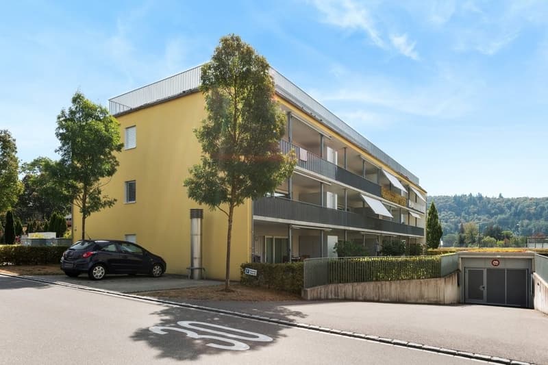 GROSSZÜGIGE ATTIKAWOHNUNG MIT GROSSER SONNENVERWÖHNTER TERRASSE (4)