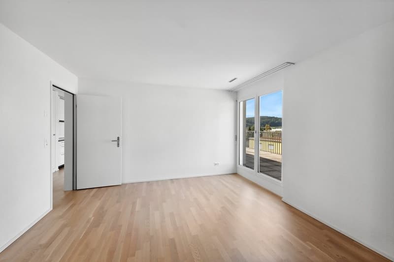 GROSSZÜGIGE ATTIKAWOHNUNG MIT GROSSER SONNENVERWÖHNTER TERRASSE (6)