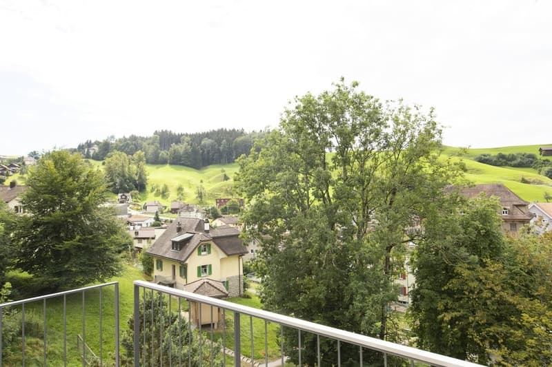 CHARMANTE WOHNUNG MIT BALKON UND WASCHTURM ZU VERMIETEN (10)