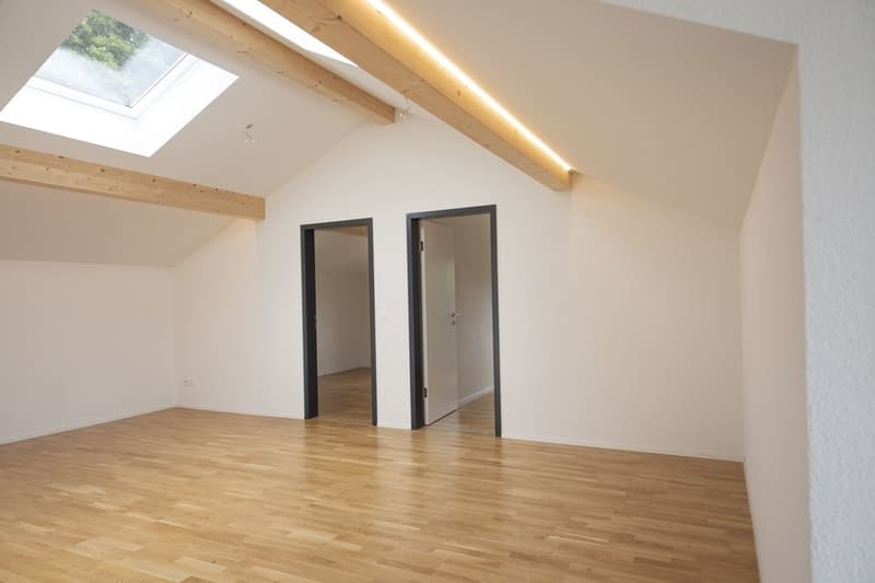 CHARMANTE WOHNUNG MIT BALKON UND WASCHTURM ZU VERMIETEN (3)