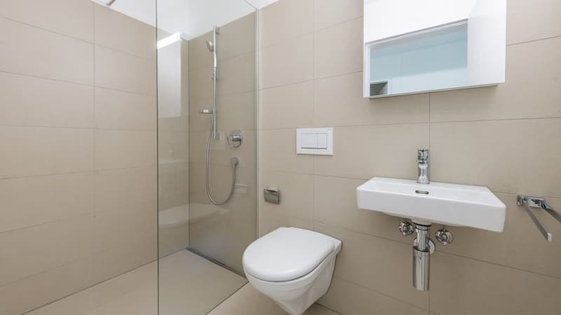 MODERN MIT GROSSZÜGIGEM AUSSENBEREICH (4)