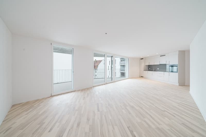MODERNE ATTIKAWOHNUNG ZU VERMIETEN (3)