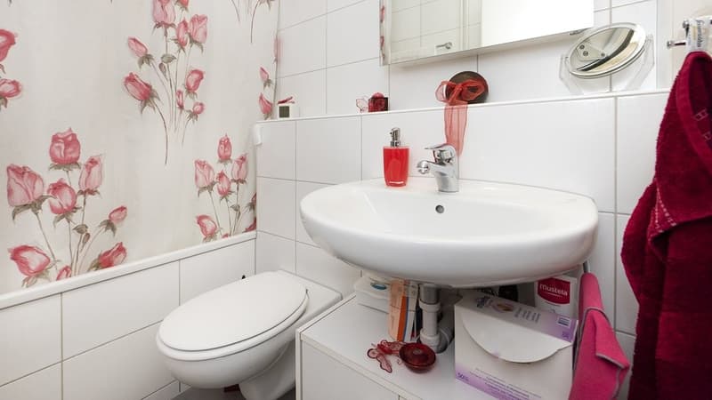 TOLLE WOHNUNG SUCHT NACHMIETER (7)