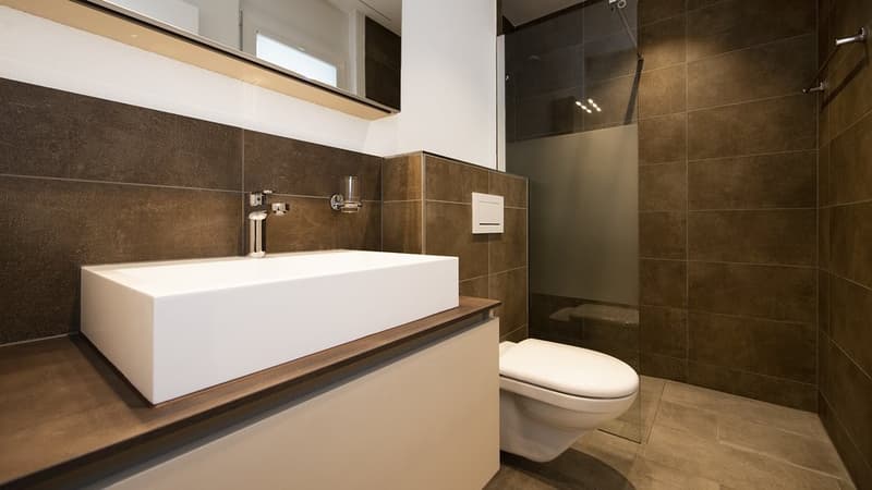 LICHTDURCHFLUTETE 3.5 ZIMMER-WOHNUNG MIT GROSSER TERRASSE (8)