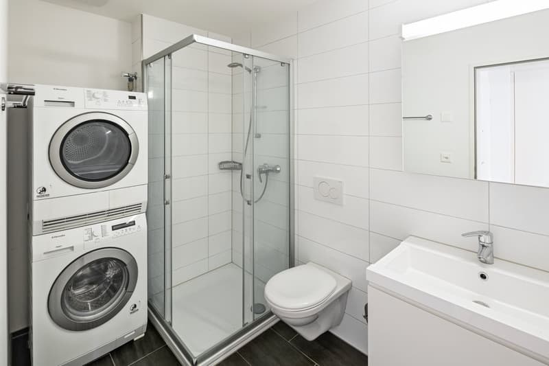TRAUMHAFTE WOHNUNG AN RUHIGER LAGE ZU VERMIETEN (5)