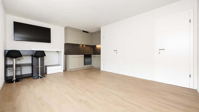 MODERNE WOHNUNG ZU VERMIETEN (5)