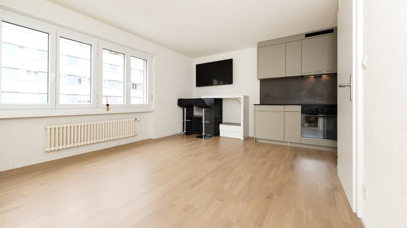 MODERNE WOHNUNG ZU VERMIETEN (3)